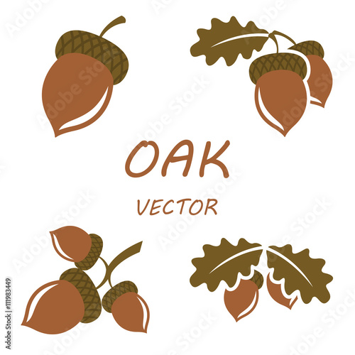 Vector flat oak icons set