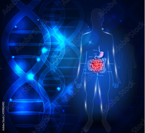 Gastrointestinal tract abstract scientific background