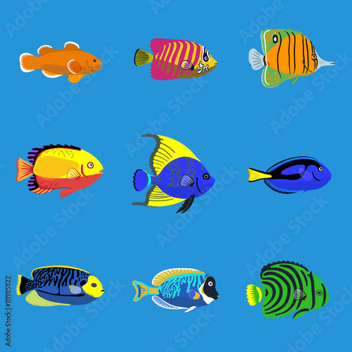 Tropical ocean fish, vector illustration set