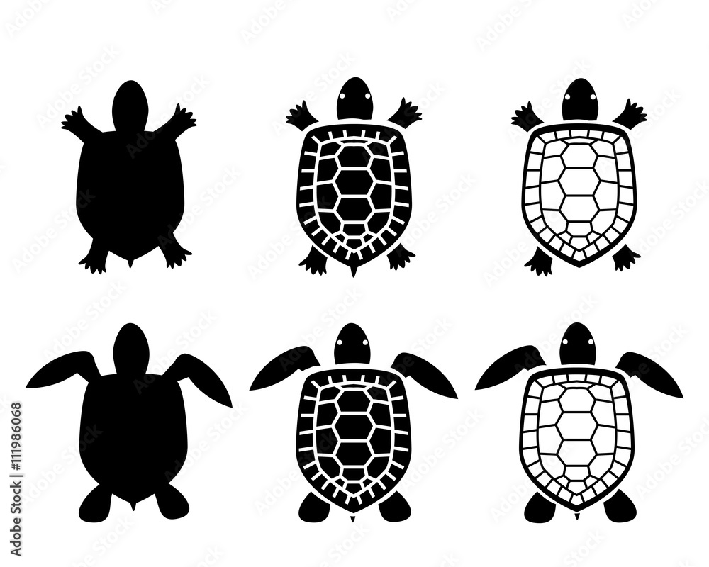 Obraz premium Zestaw ikon żółwia i żółwia, widok z góry