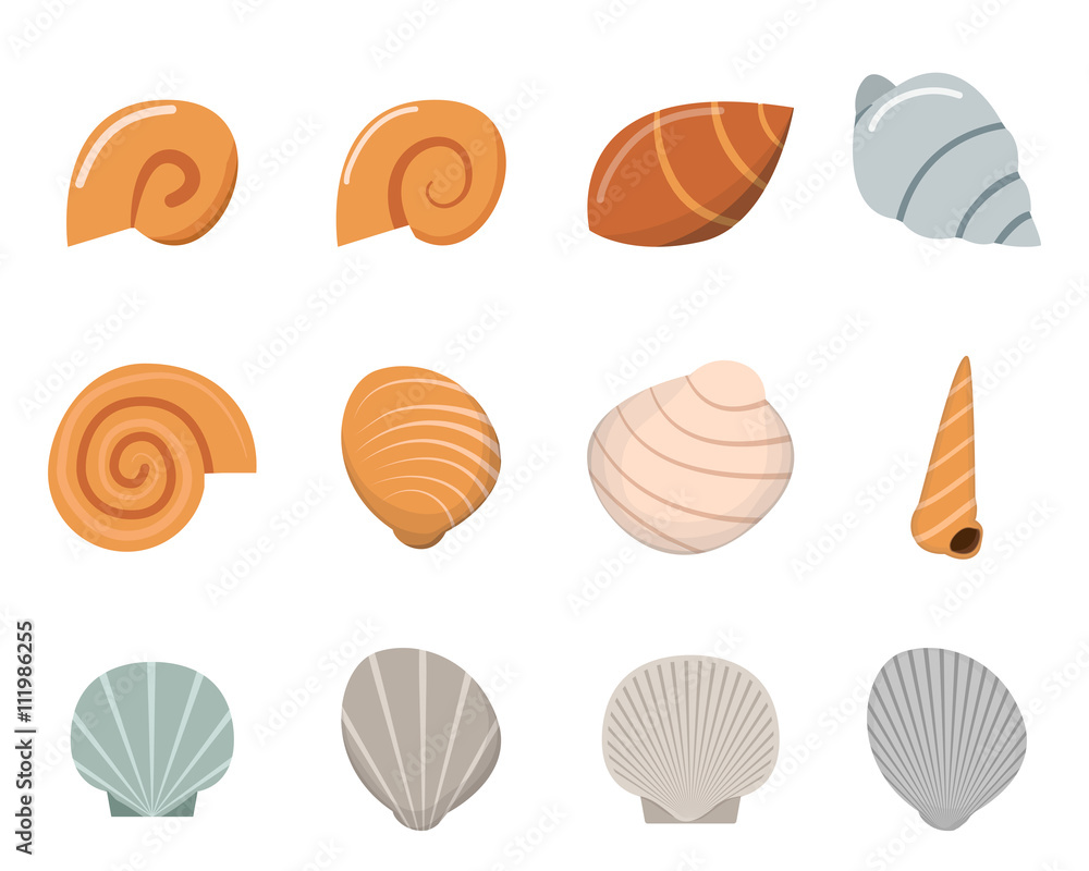 Set of shell in flat style, top view Set of shell in flat style, top view