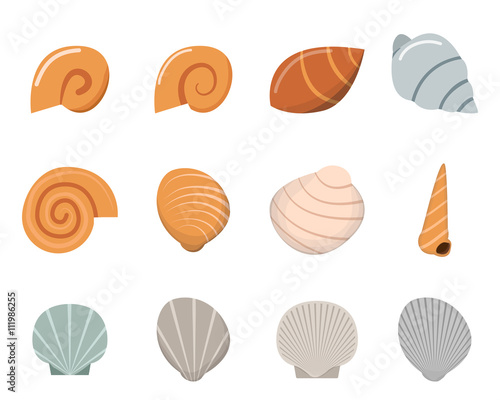 Set of shell in flat style, top view