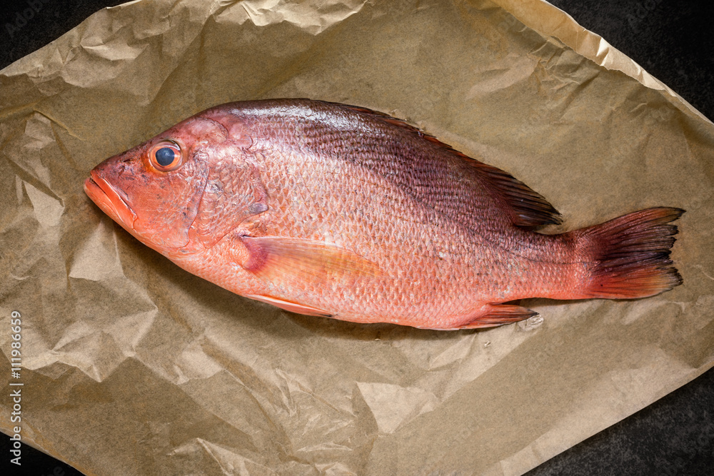Fresh ingredients to cook fish, red snapper, leak, lime, lemon, chili, ginger. Top view Fresh ingredients to cook fish, red snapper, leak, lime, lemon, chili, ginger. Top view