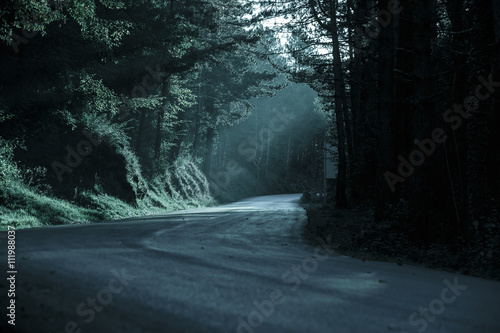 Obraz na płótnie Dark forest with empty road in receding light w salonie