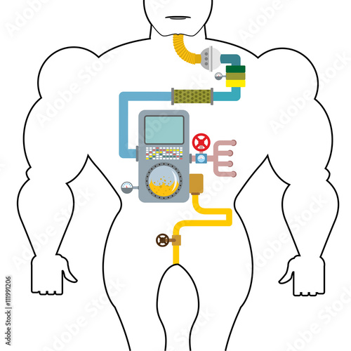 Artificial digestive tract. Digestion person. Throat and stomach