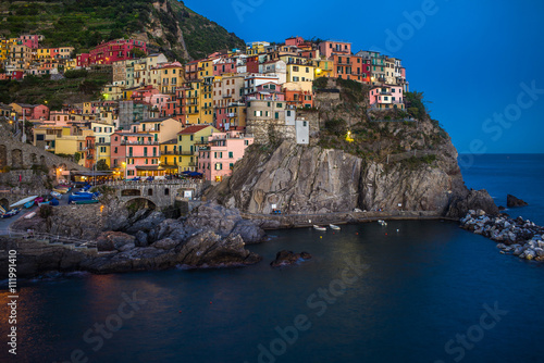 Manarola village, Italy
