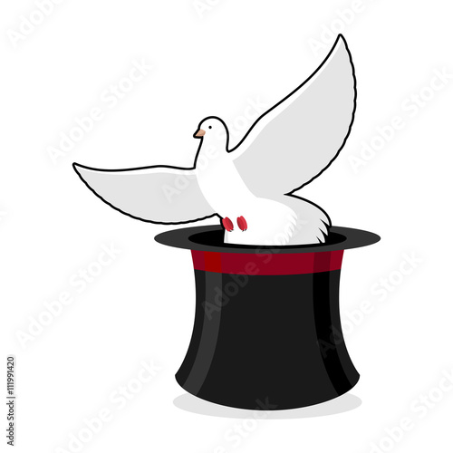 Dove and hat magician. Black cylinder illusionist and a white pi