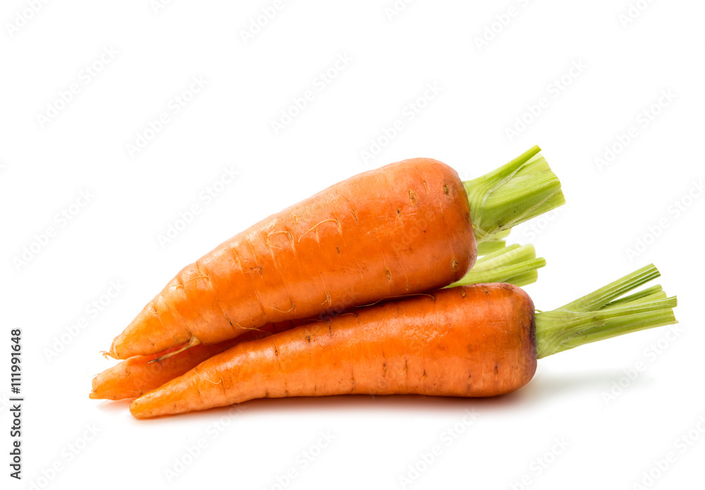 carrot isolated carrot isolated