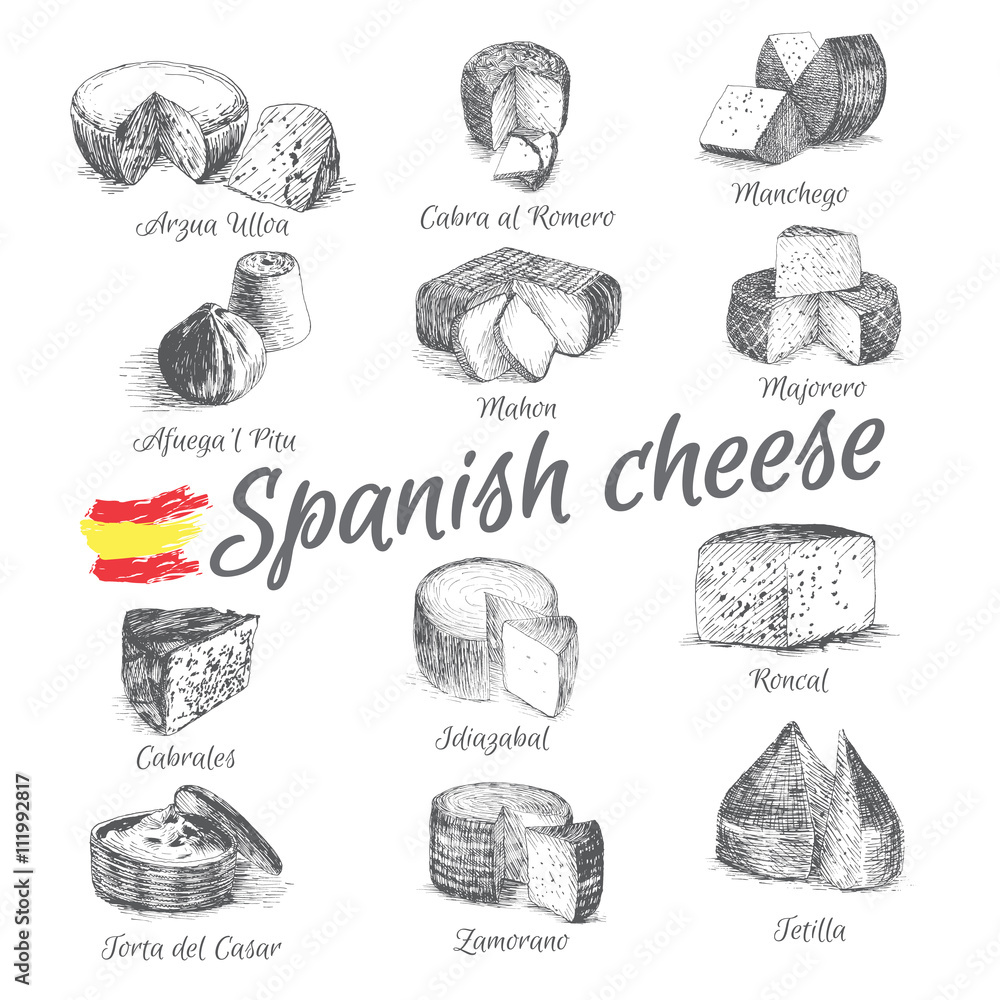 Vector illustrated Set #4 of Spanish Cheese Menu. Illustrative sorts of cheese from Spain