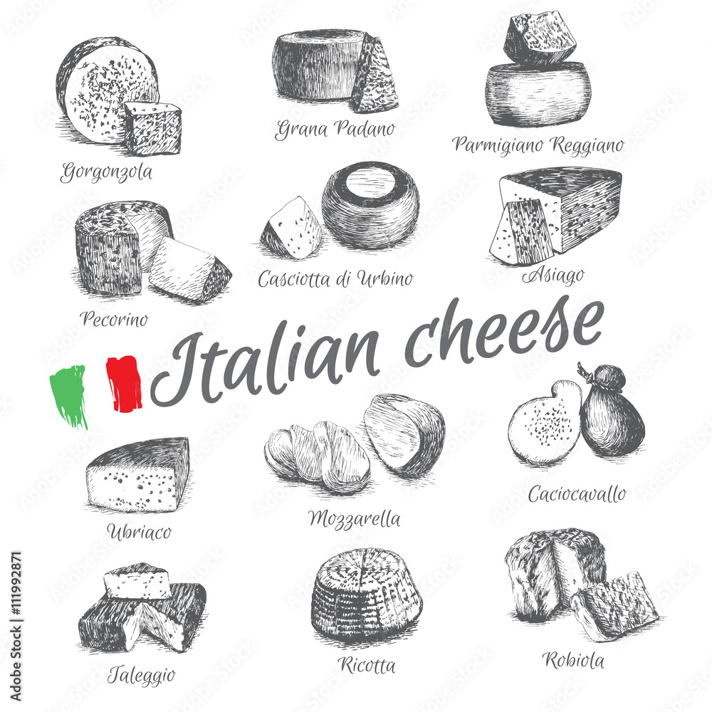 Vector illustrated Set #4 of Italian Cheese Menu. Illustrative sorts of cheese from Italy
