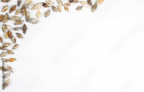 Sea shells frame on wooden background