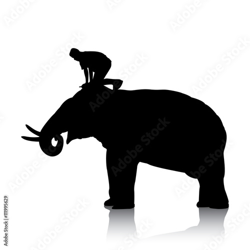 Vector silhouettes of elephant and mahout young boy on white background