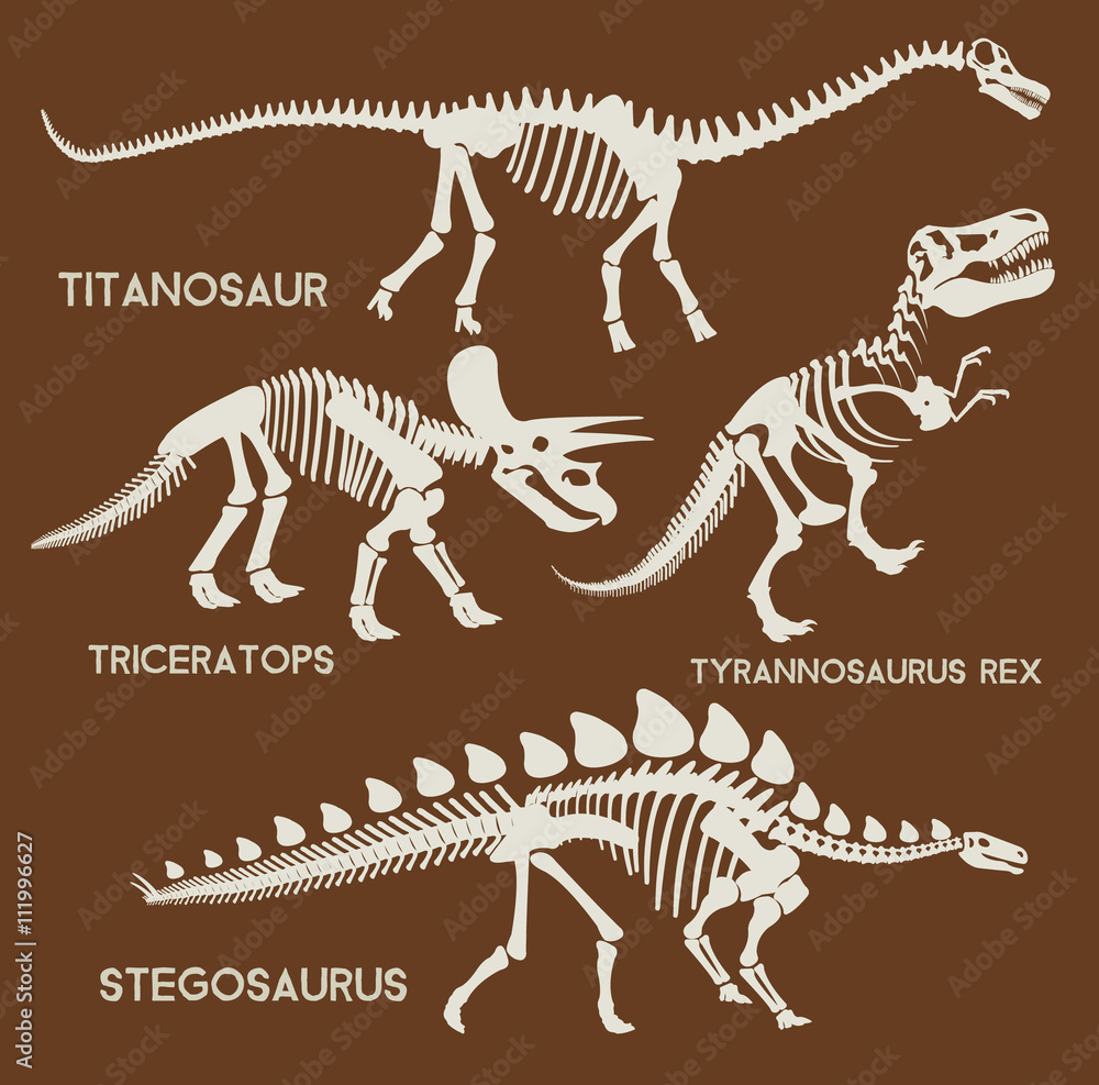 Fototapeta premium Dinosaurs silhouettes set. Vector flat set illustration