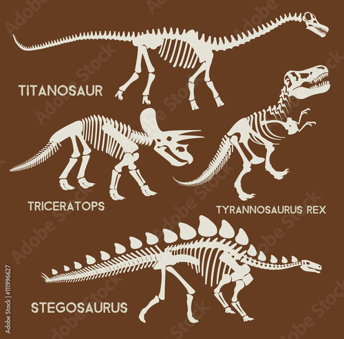 Dinosaurs silhouettes set. Vector flat set illustration