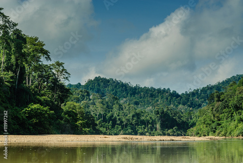 scenery of the forest from the river Sungai tembeling inside the forest of Taman Negara in Malaysia