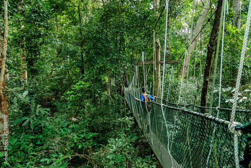 bridge canopy in the treetops of the trees in the forest of Taman Negara in Malaysia