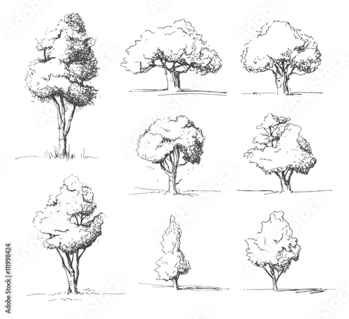 Tree sketches set