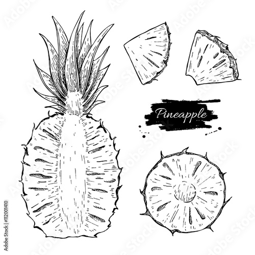 Vector hand drawn pineapple and sliced pieces set. Tropical summ