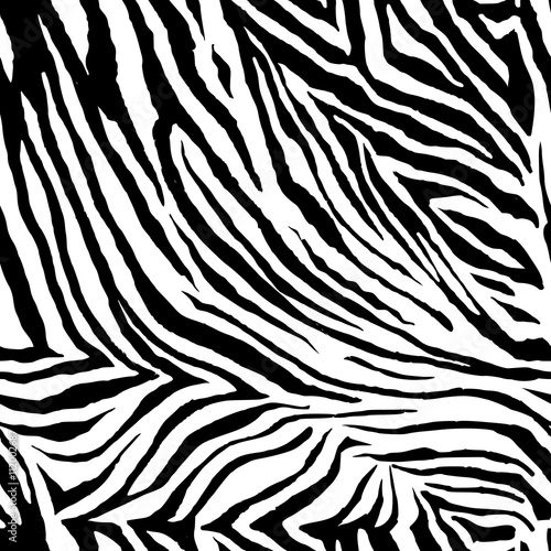Zebra Pattern
