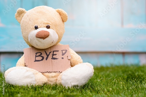 Photos Teddy bear holding cardboard with information Bye