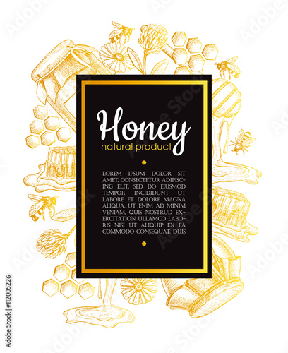 Vector hand drawn honey frame. Detailed engraved honey illustrat