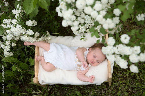 Horizontal picture of newborn baby outside in the grass in the blossoming garden. 