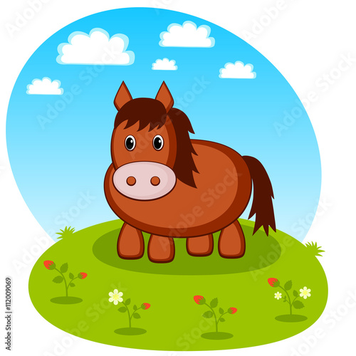 horse and summer meadow