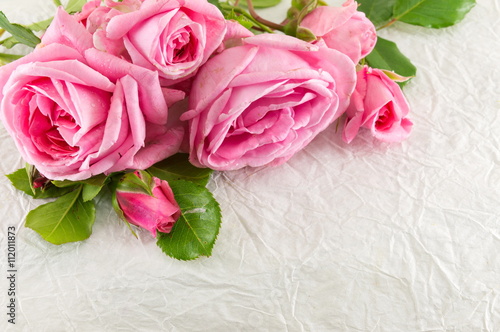 Pink roses on white silk textile