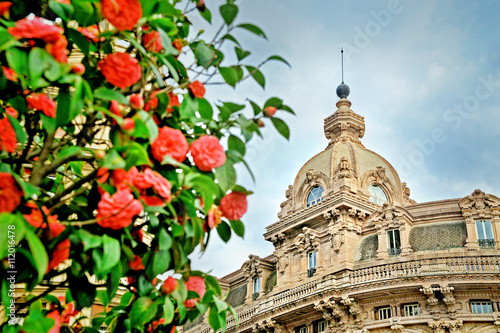 facade with pink flowers in Genoa