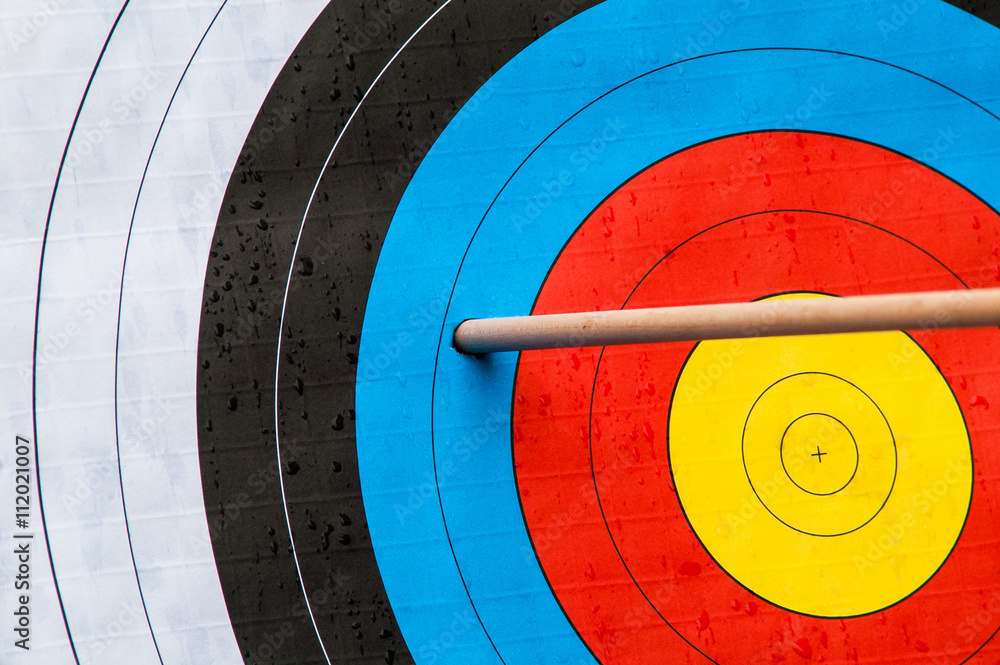 arrow target goal arrow target goal