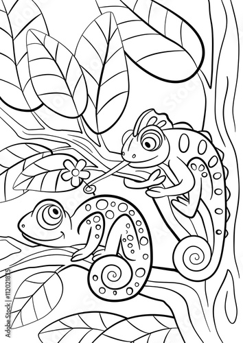 Coloring pages. Wild animals. Two little cute chameleon.
