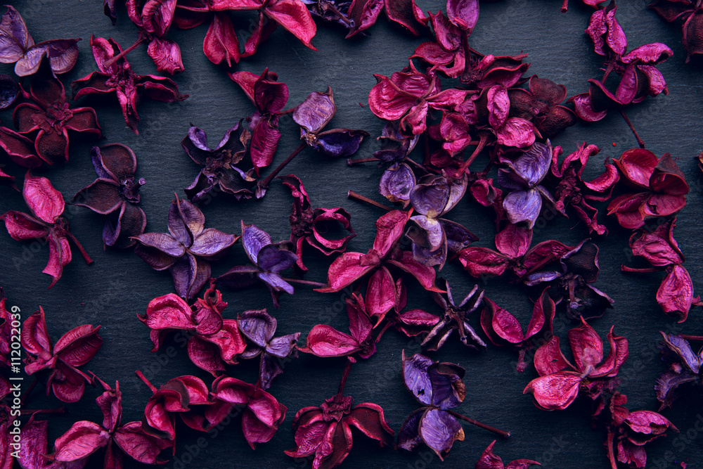 burgundy and purple dry flowers burgundy and purple dry flowers