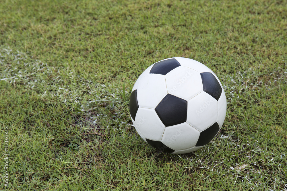 soccer ball on the field