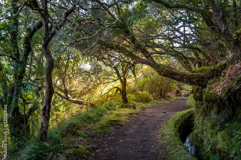 Levada 25 fountains hiking trail on Madeira island. Levada 25 fountains hiking trail on Madeira island.