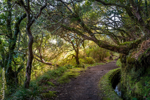 Levada 25 fountains hiking trail on Madeira island.