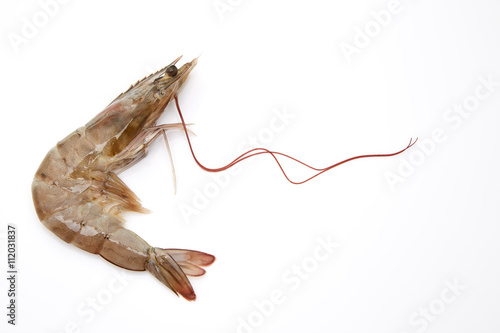 fresh shrimp photo