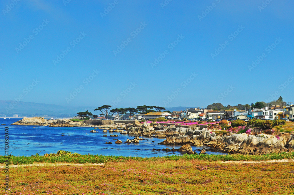 California, Usa: piante grasse in fiore sulla spiaggia di Pacific Grove, città sulla costa della Contea di Monterey 