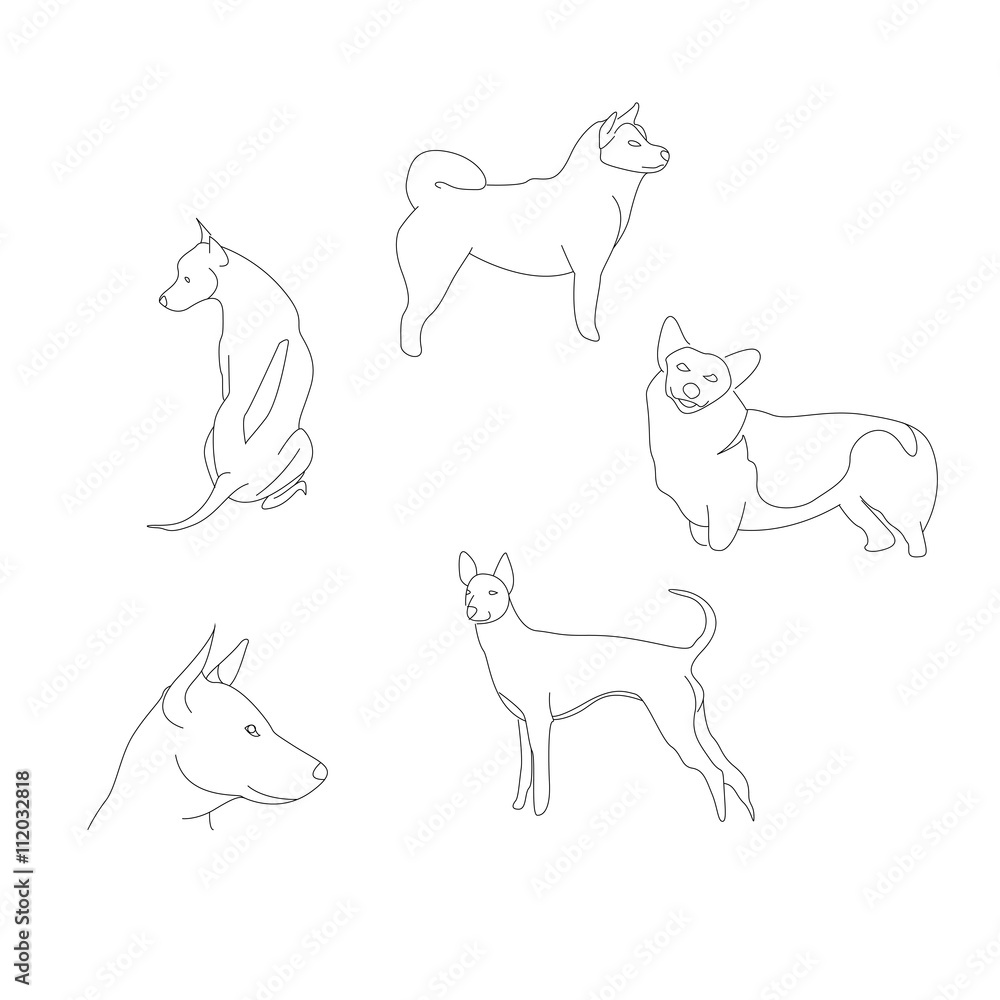 Dog graphic