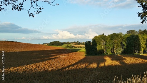 lumière du soir sur la campagne Flamande photo