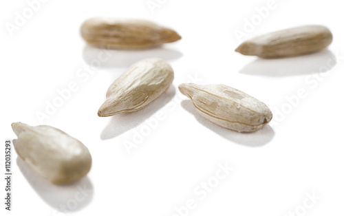 Sunflower Seeds Close up Isolated  
