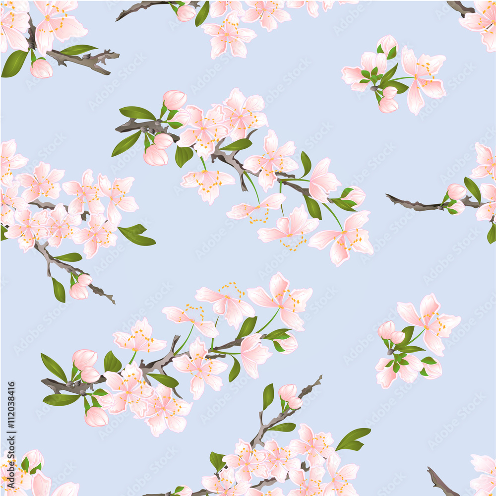 Seamless texture cherry blossoms natural background vector illustration Seamless texture cherry blossoms natural background vector illustration