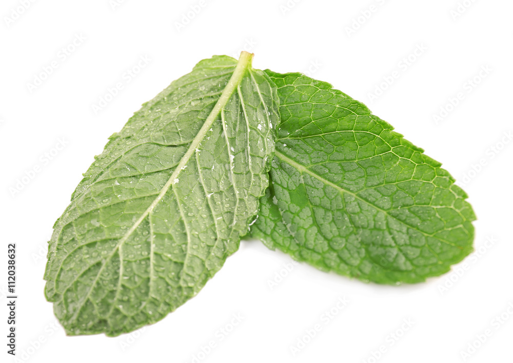 Fresh mint leaves on white background, top view Fresh mint leaves on white background, top view