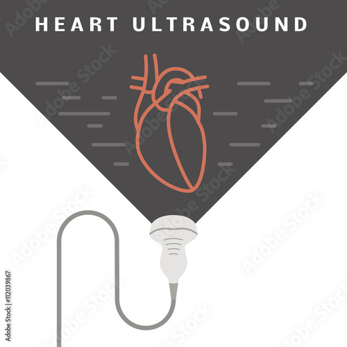 Heart ultrasound concept photo