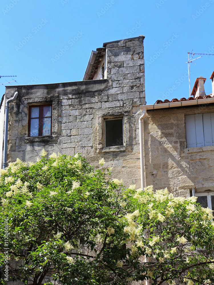 Fototapeta premium Downtown Montpellier old house and tree - France