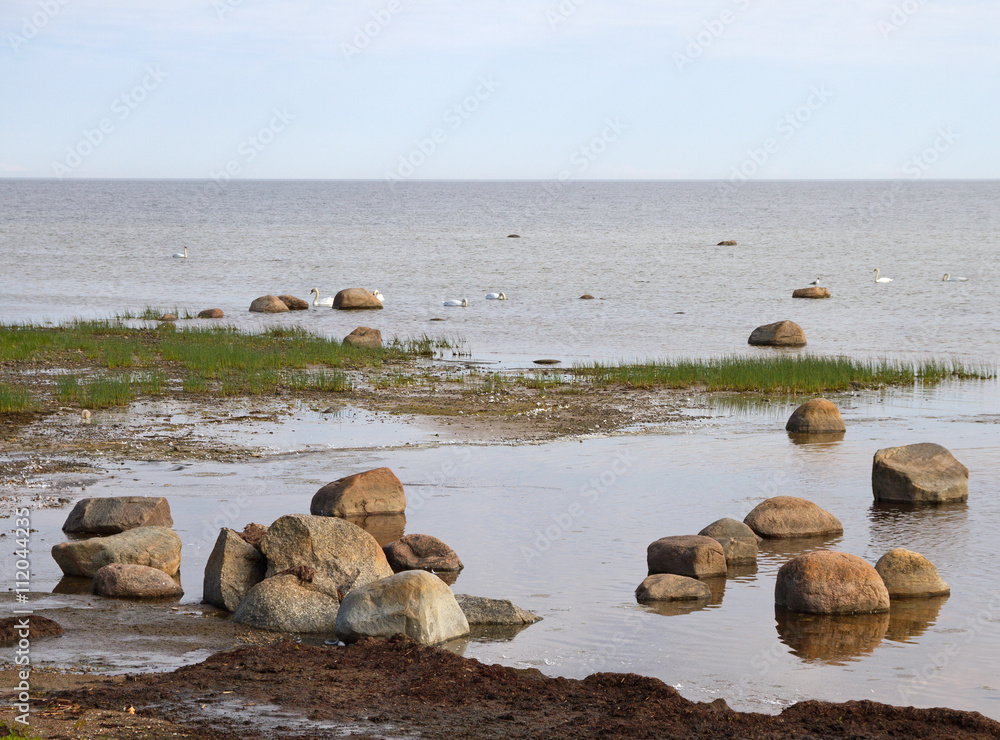 Stone Baltic sea.