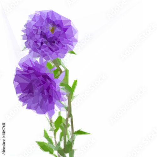 three aster lilac flowers