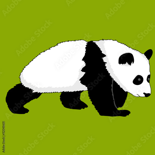 Fototapeta Naklejka Na Ścianę i Meble -  realistic panda bear go 