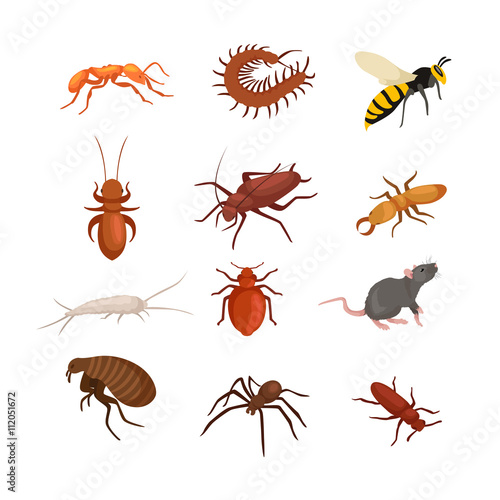 Pest control concept with insects exterminator silhouette flat vector illustration