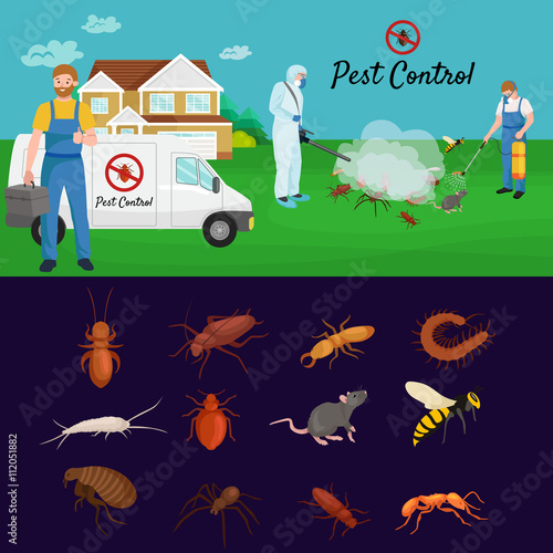 Pest control concept with insects exterminator silhouette flat vector illustration