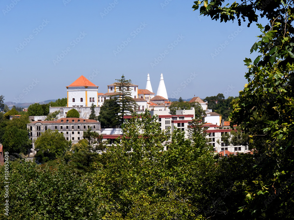 The Sintra National Palace and gardens
, also called Town Palace is located in the town of Sintra, in the Lisbon District of Portugal

